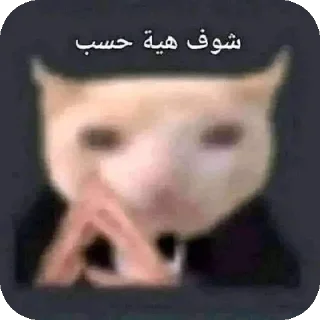 Video sticker 👄 Summer 11 @Seif161