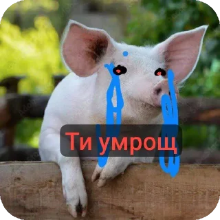 Telegram sticker 🐶 Шогаит ат @k1z4k @TgEmodziBot