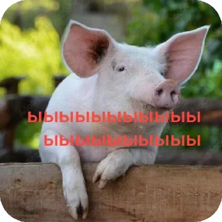 Telegram sticker 🐄 Шогаит ат @k1z4k @TgEmodziBot