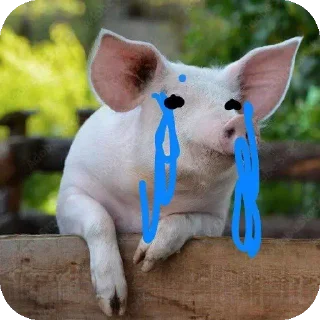 Telegram sticker 🐶 Шогаит ат @k1z4k @TgEmodziBot