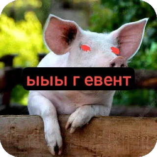 Telegram sticker 🐄 Шогаит ат @k1z4k @TgEmodziBot