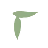 Sticker 🌟 by @vrxvn mint color :: @fStikBot