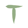 Sticker 🌟 by @vrxvn mint color :: @fStikBot