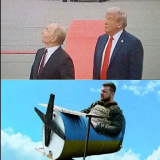 Telegram stiker 😔 Whiteness