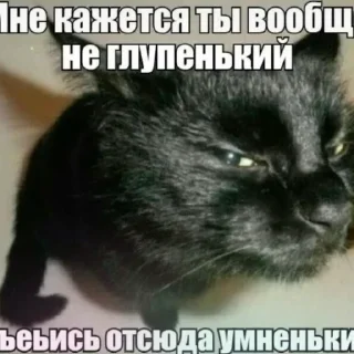 Sticker 😀 Whiteness