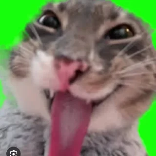 Telegram stiker 😔 Whiteness