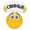 Sticker 🐽 вайбер кололбки ➜ @kotletovvemoji