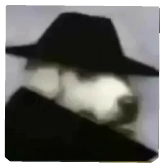 Video sticker 👍 Reação...