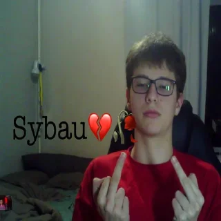 Video sticker 🐑 Sybau