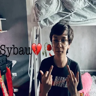 Telegram sticker 🐑 Sybau