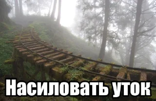 Telegram sticker 🥰 Пенис Николая