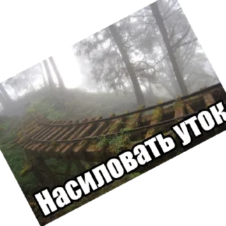 Telegram sticker 👍 Пенис Николая