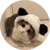 Video sticker 🌟 𝐓𝐄𝐀𝐌 �...