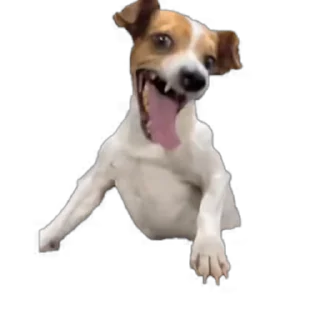 Video sticker 😄 Автор:@SSorigi