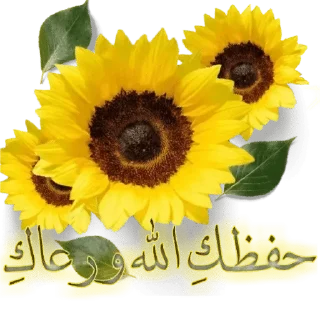 Telegram stiker 🌻 🍒كلمات طيبة🍒 — @stckrRobot