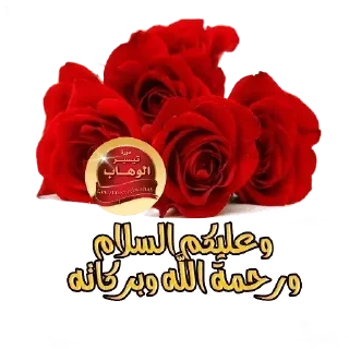 Telegram stiker 🌷 🍒كلمات طيبة🍒 — @stckrRobot