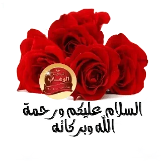 Telegram stiker 🌹 🍒كلمات طيبة🍒 — @stckrRobot