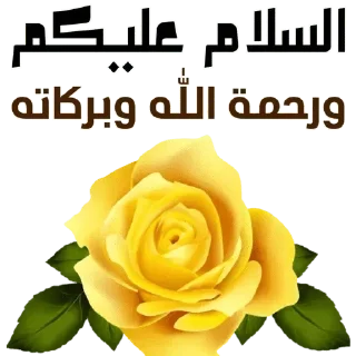 Telegram stiker 🌻 🍒كلمات طيبة🍒 — @stckrRobot