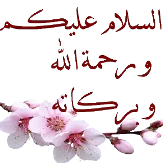 Video sticker ☑️ 🍒كلمات طيبة🍒 — @stckrRobot