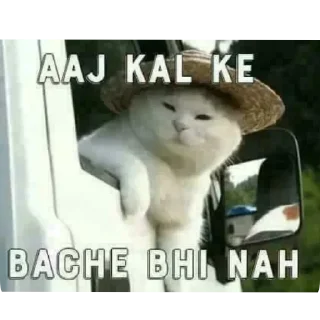 Telegram stiker 🖼 Tgx_kamado🌸