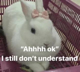 Video sticker 🤷‍♀️ Yipee Animals