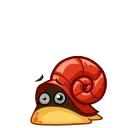 Video sticker 😨 Shelldon