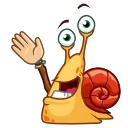 Video sticker 👋 Shelldon