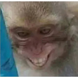 Telegram stiker 🐵 Telezap