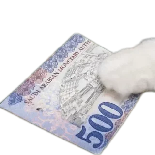 Video sticker 💳 Nrnr ✦