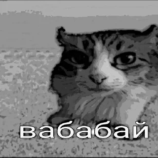 Video sticker 😒 вабабай