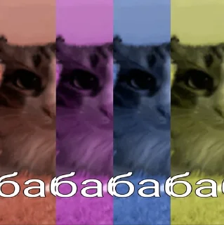 Video sticker ☺️ вабабай