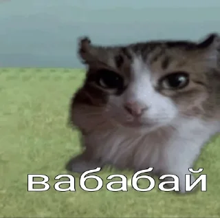 Sticker 😱 вабабай