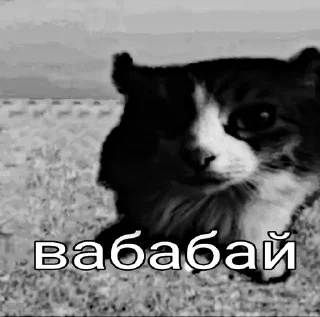 Telegram sticker ☺️ вабабай