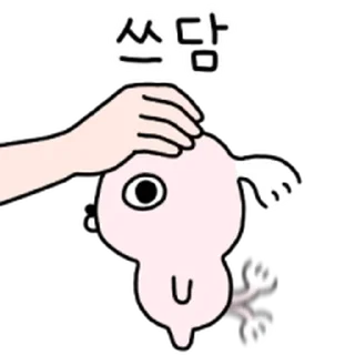 Video sticker 🎀 빡빡개 강사장 @moe_sticker_bot