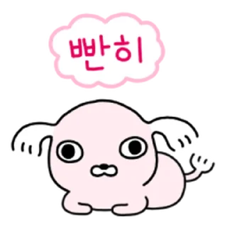 Video sticker 🎀 빡빡개 강사장 @moe_sticker_bot