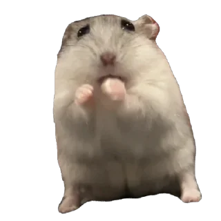 Telegram sticker 🫥 Бобо🥰