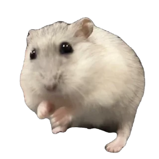 Sticker 🥰 Бобо🥰