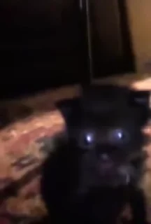 Video sticker 😣 @typingslayaclub