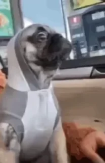 Video sticker 💃 @typingslayaclub