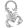 Video sticker 🦂 @Ruxinar :: @fStikBot