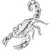 Video sticker 🦂 @Ruxinar :: @fStikBot