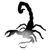 Video sticker 🦂 @Ruxinar :: @fStikBot