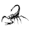Video sticker 🦂 @Ruxinar :: @fStikBot
