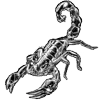 Video sticker 🦂 @Ruxinar :: @fStikBot