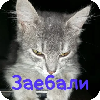 Sticker 👍 Иуууу
