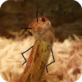 Sticker 👍 @FV_6699 🐝 @MV_6996