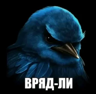 Telegram sticker 🤩 Сомнительные птички @TgEmodziBot