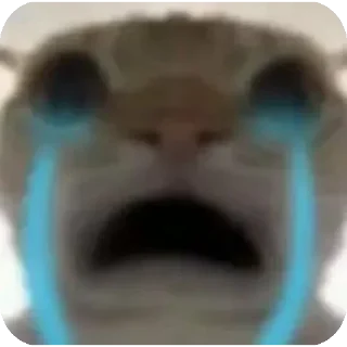 Telegram sticker 😭 mga kaputanginahan ni feisty :: @zxdd666