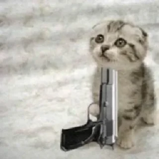 Telegram sticker 🔫 .