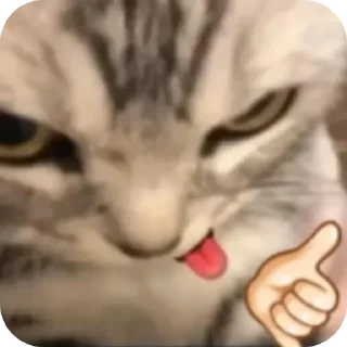 Video sticker 👍 @jullskz